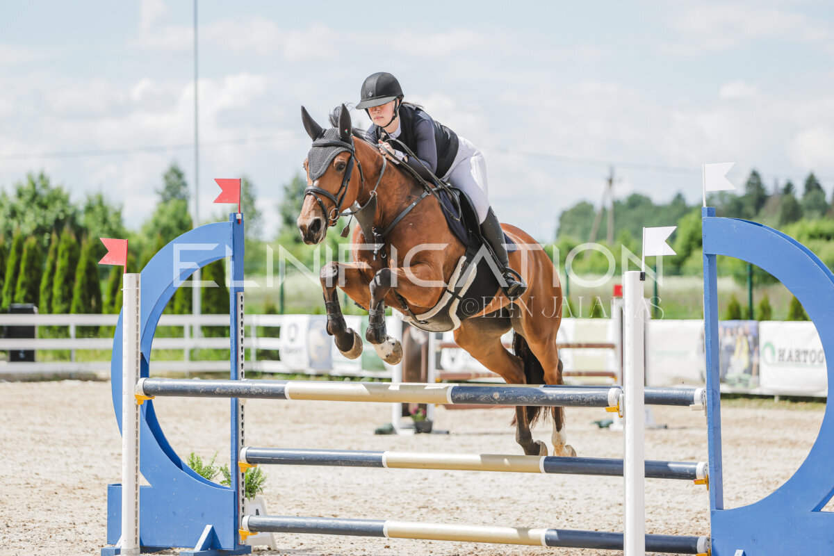 Gramina_Jaanipaev_2026_110_211