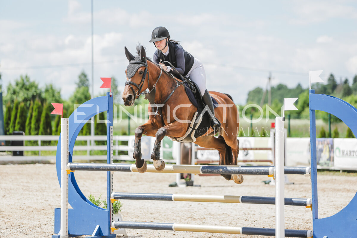Gramina_Jaanipaev_2026_110_212