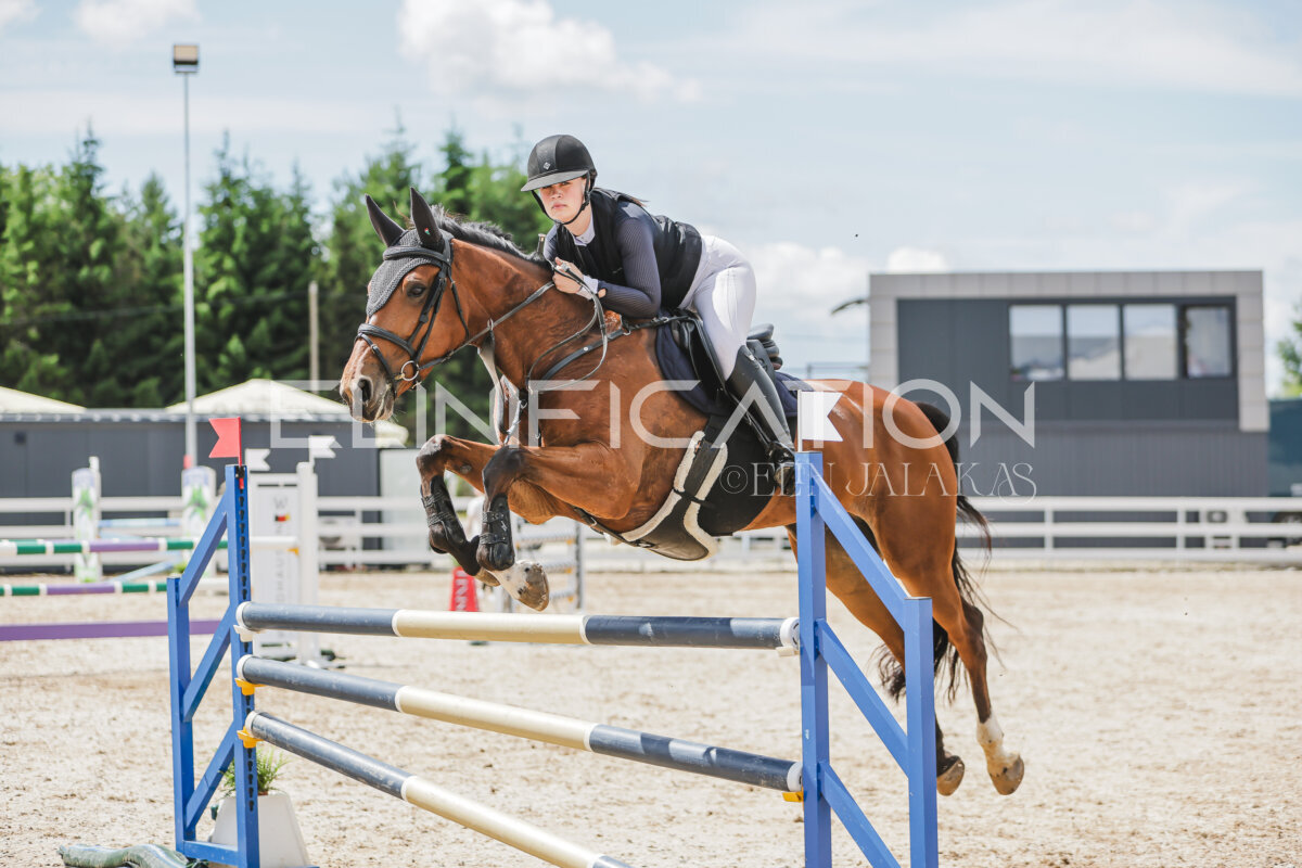 Gramina_Jaanipaev_2026_110_213