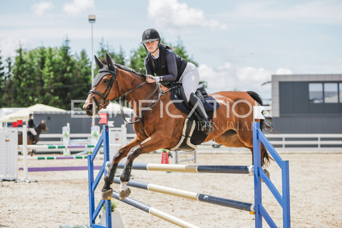 Gramina_Jaanipaev_2026_110_215