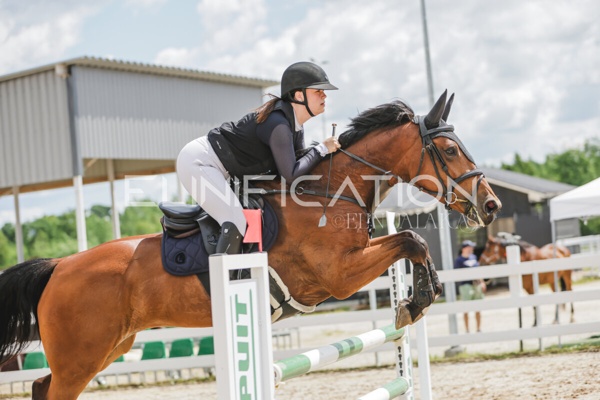 Gramina_Jaanipaev_2026_110_219