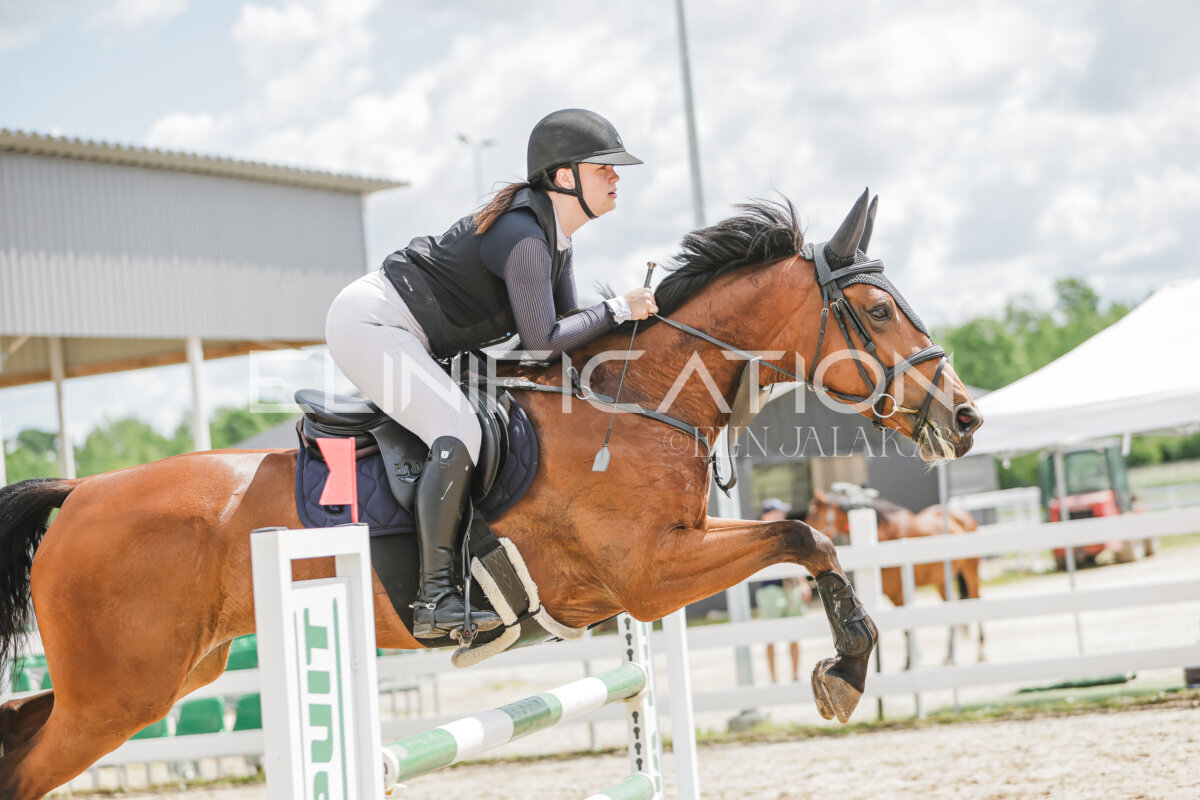 Gramina_Jaanipaev_2026_110_220