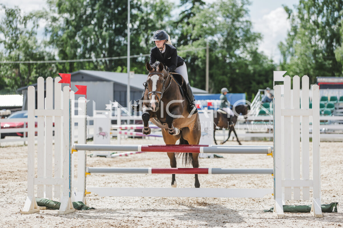 Gramina_Jaanipaev_2026_110_221