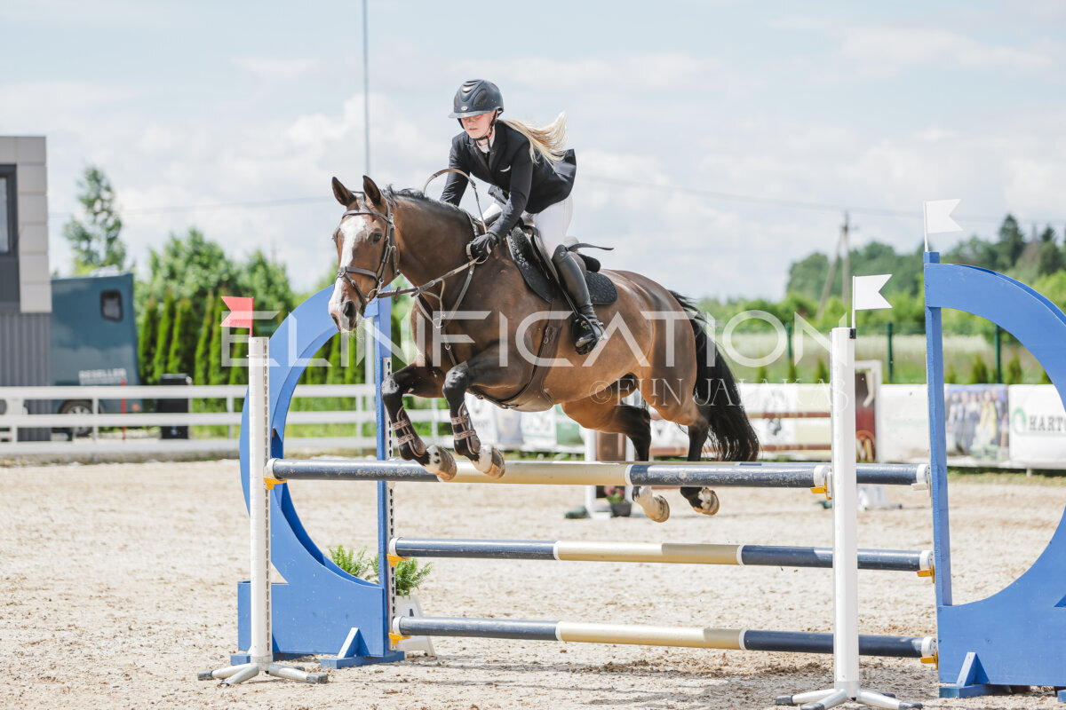 Gramina_Jaanipaev_2026_110_225