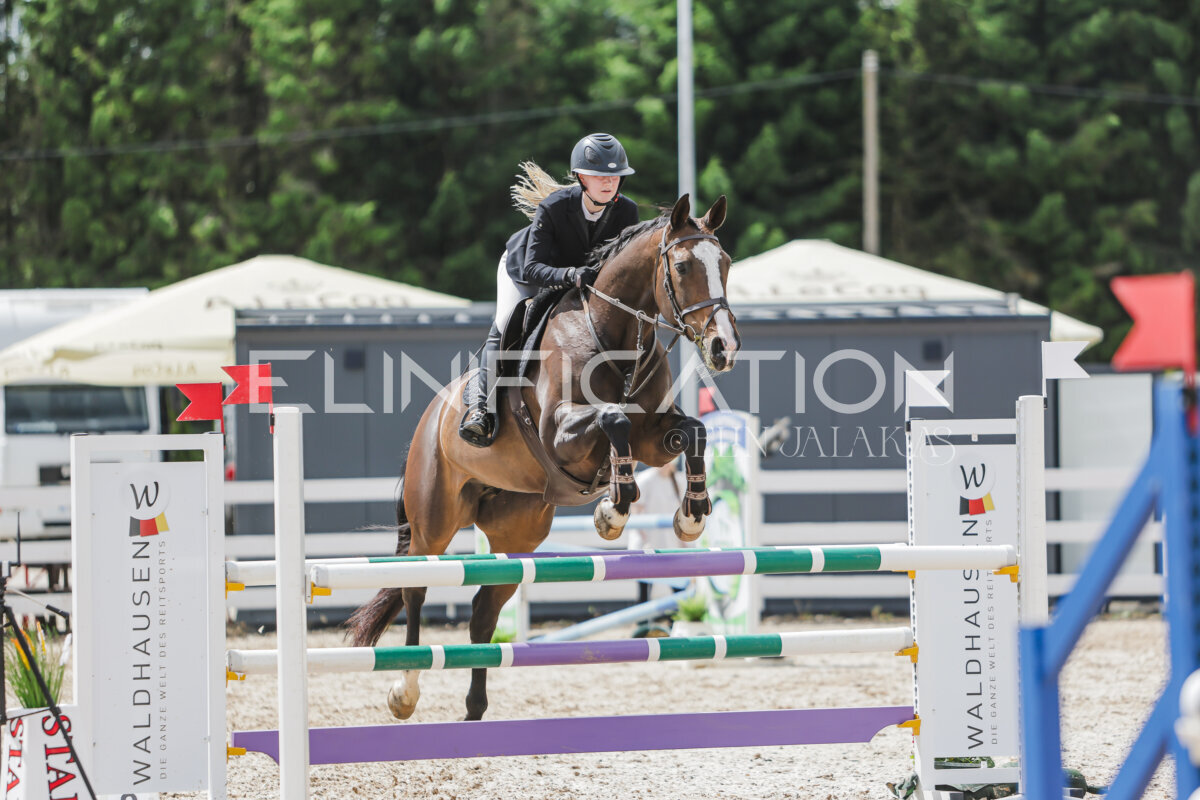 Gramina_Jaanipaev_2026_110_228