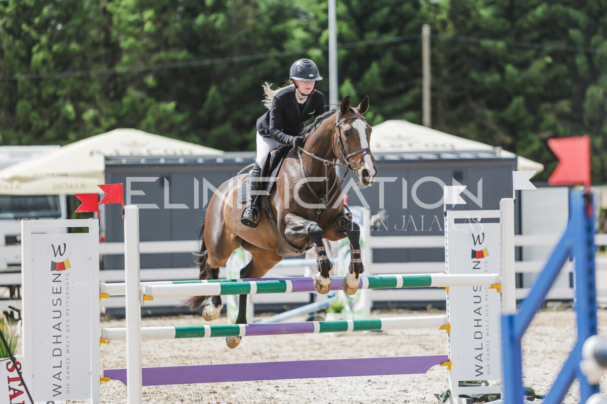 Gramina_Jaanipaev_2026_110_229