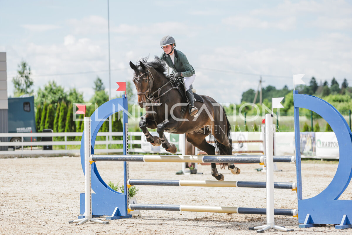 Gramina_Jaanipaev_2026_110_239