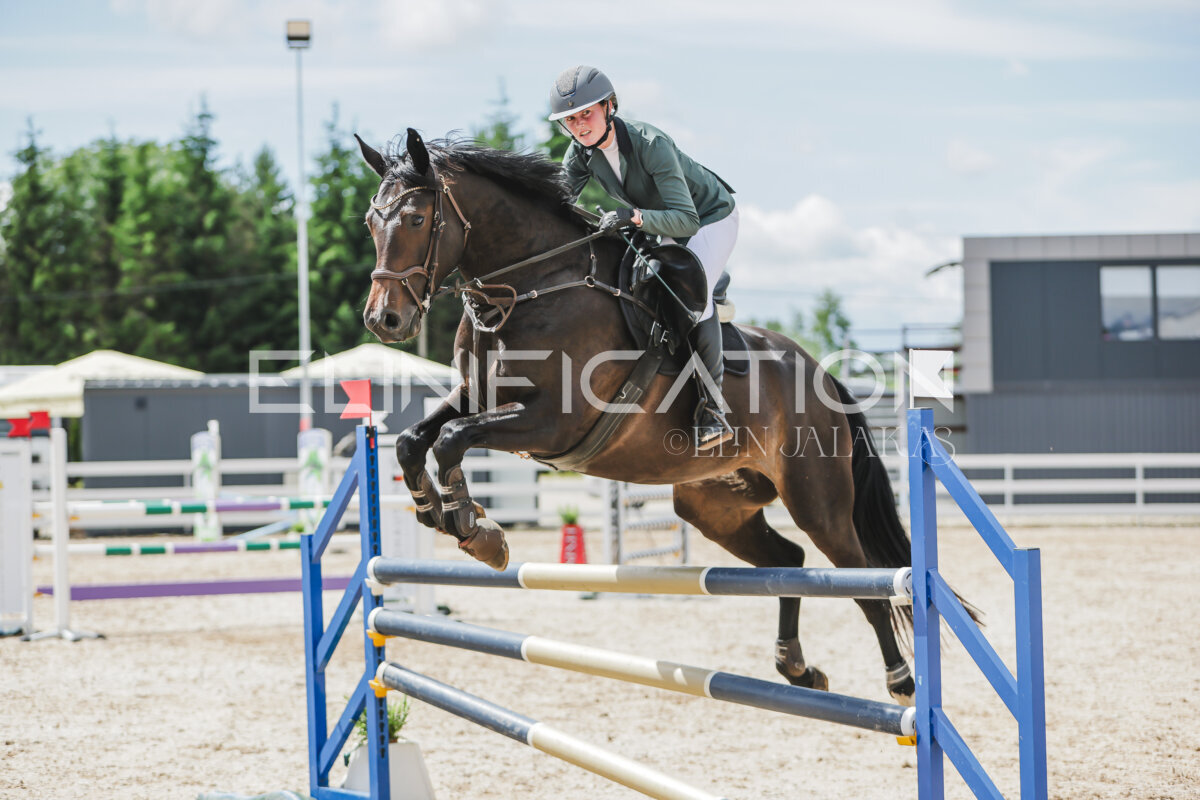 Gramina_Jaanipaev_2026_110_241