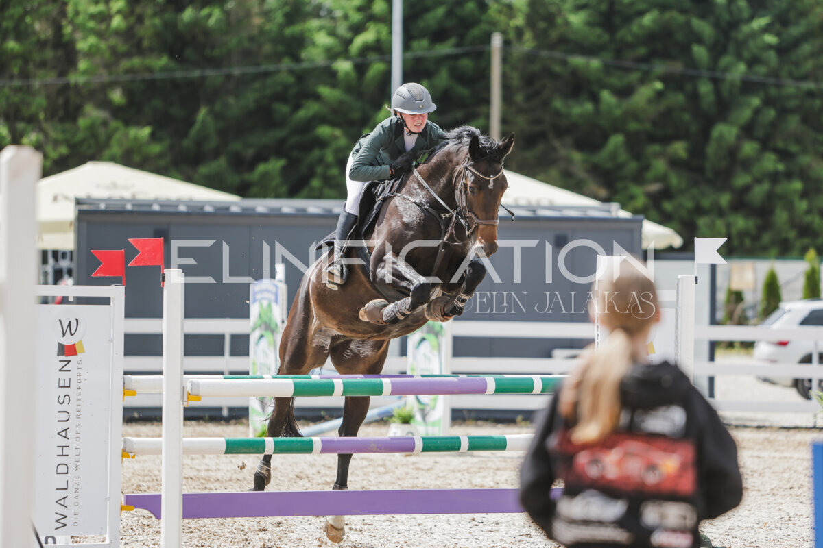 Gramina_Jaanipaev_2026_110_244