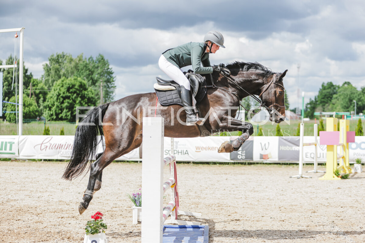 Gramina_Jaanipaev_2026_110_248