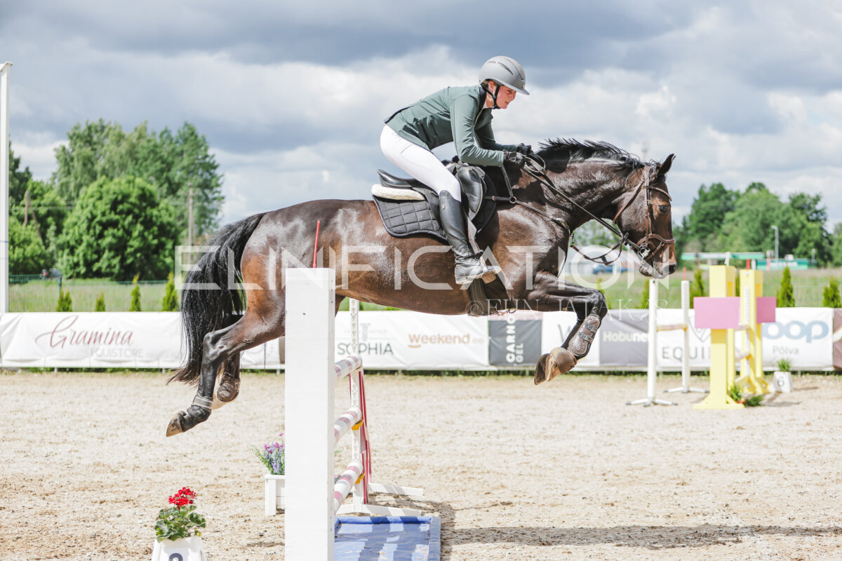 Gramina_Jaanipaev_2026_110_249