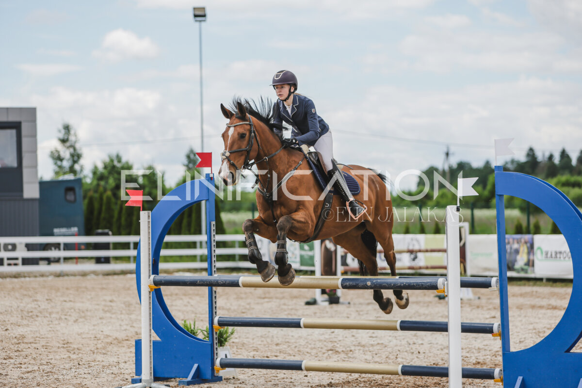 Gramina_Jaanipaev_2026_110_254