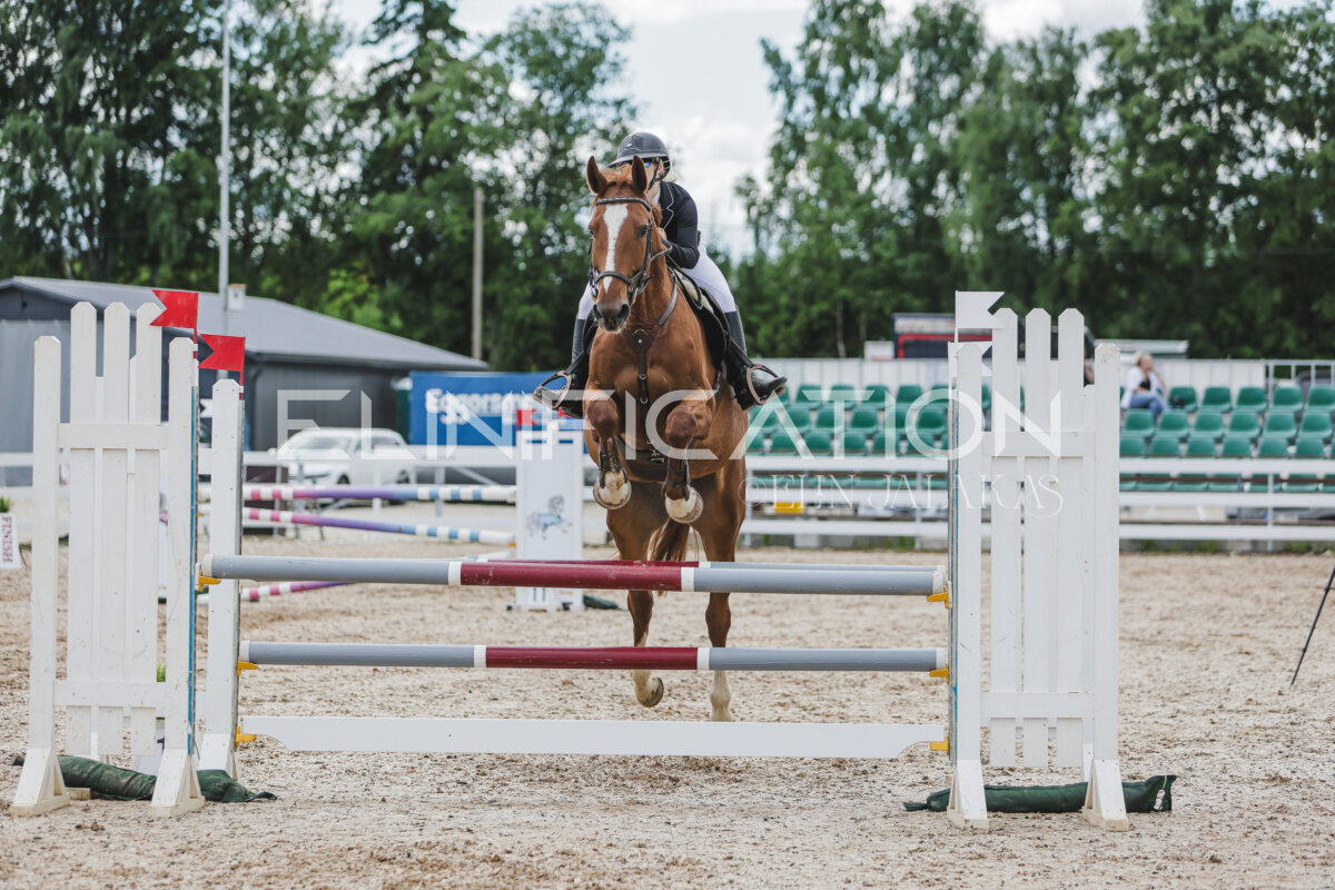 Gramina_Jaanipaev_2026_110_259