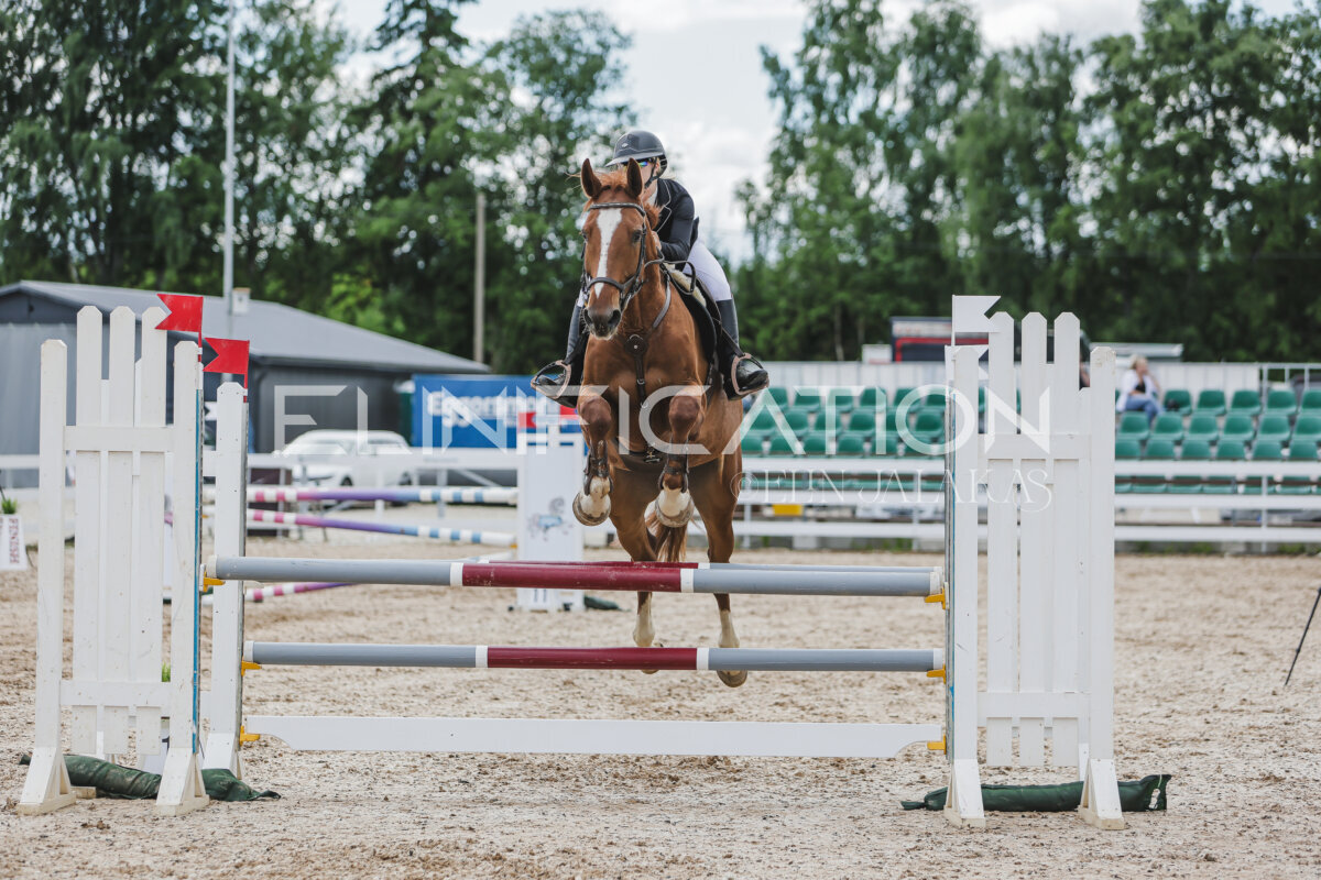Gramina_Jaanipaev_2026_110_260