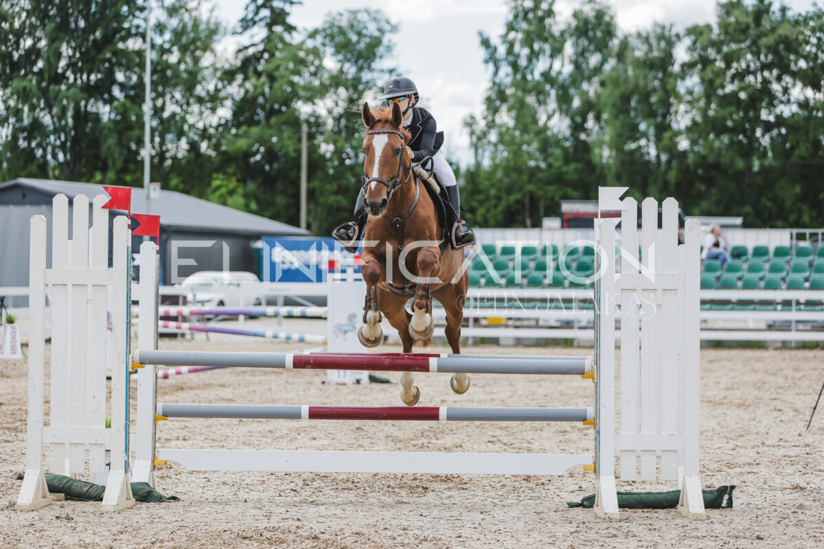Gramina_Jaanipaev_2026_110_261