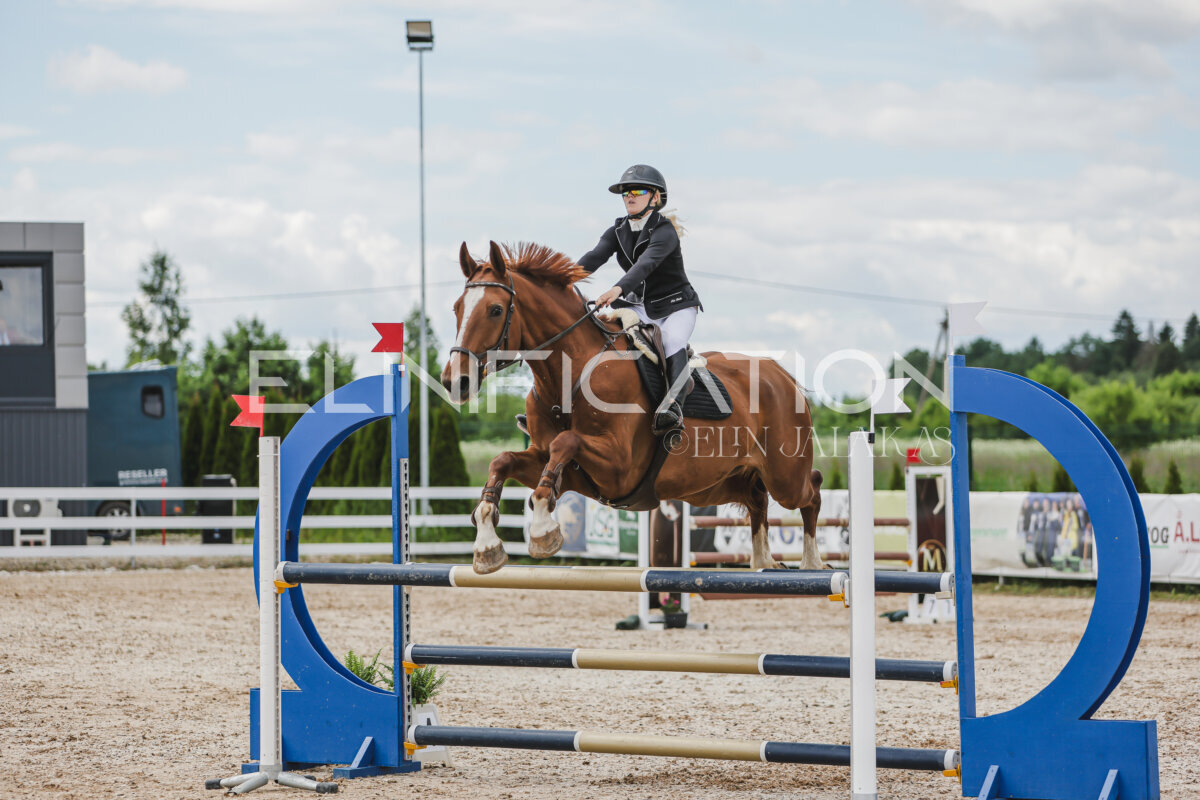 Gramina_Jaanipaev_2026_110_264
