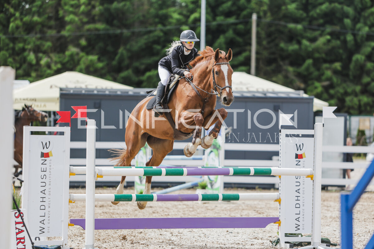 Gramina_Jaanipaev_2026_110_268