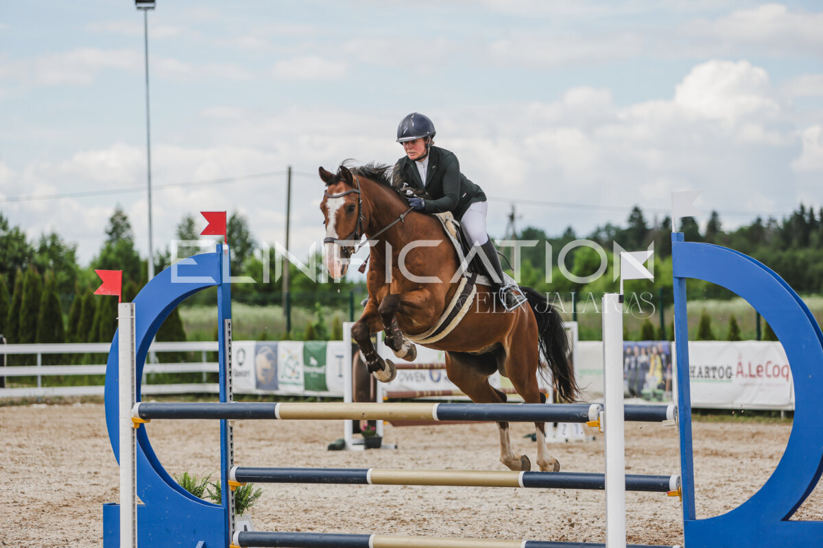 Gramina_Jaanipaev_2026_110_285