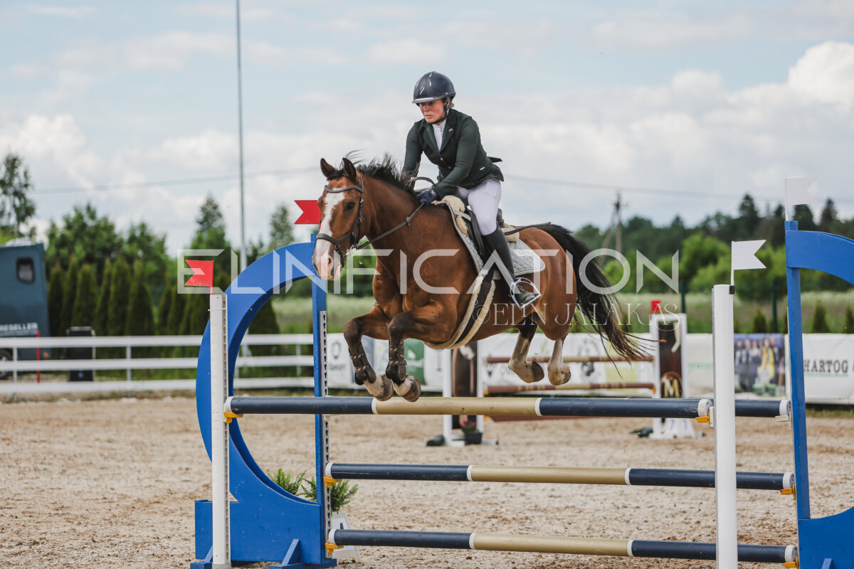 Gramina_Jaanipaev_2026_110_288