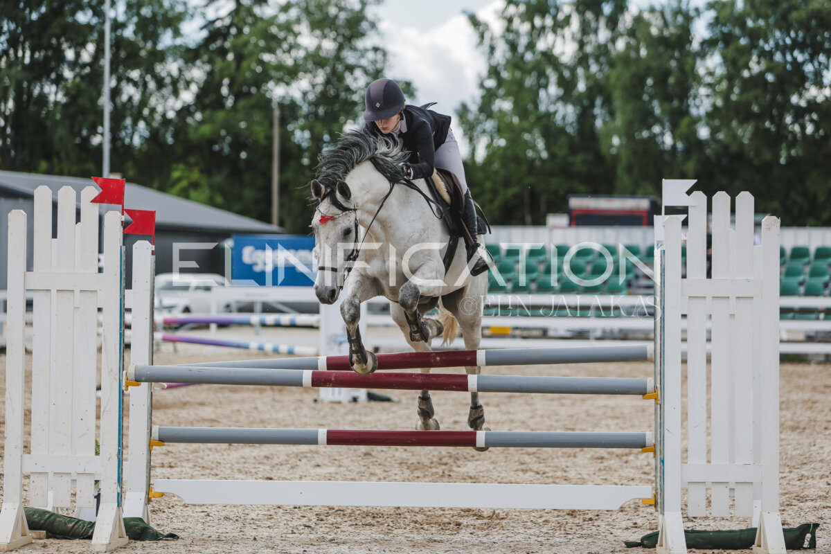 Gramina_Jaanipaev_2026_110_290