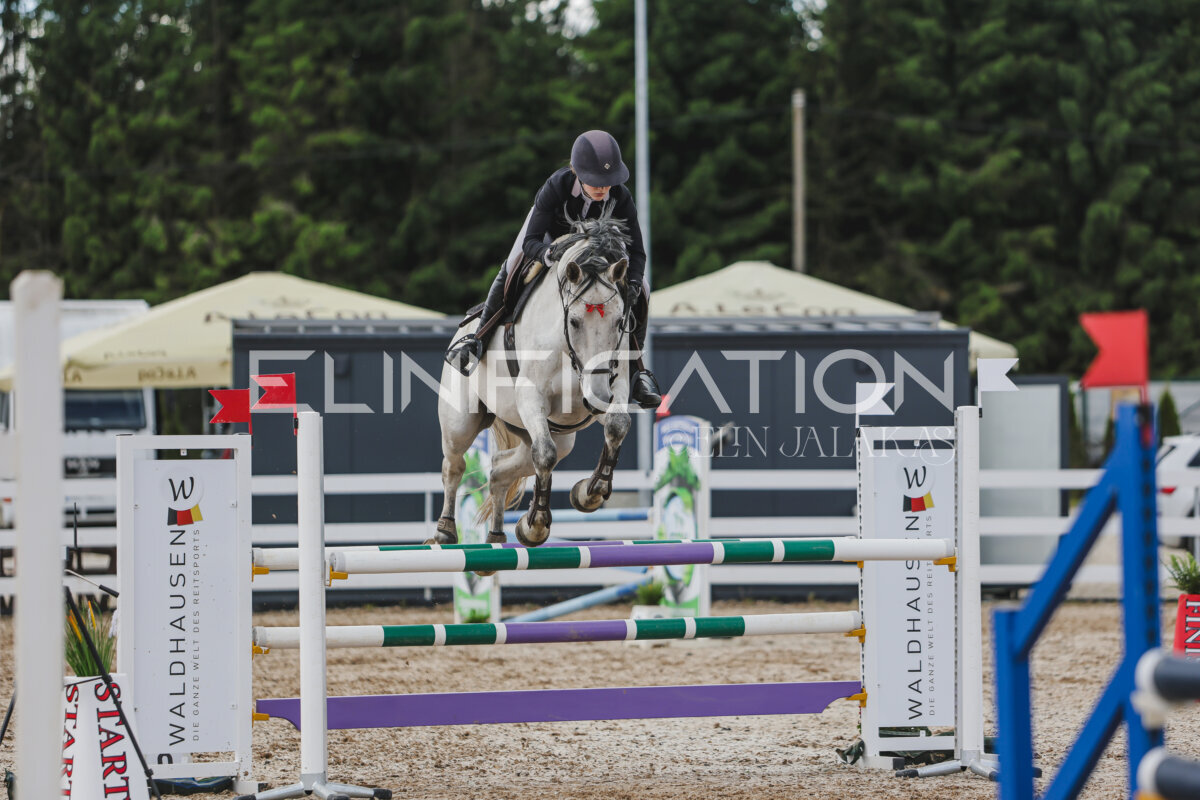 Gramina_Jaanipaev_2026_110_298