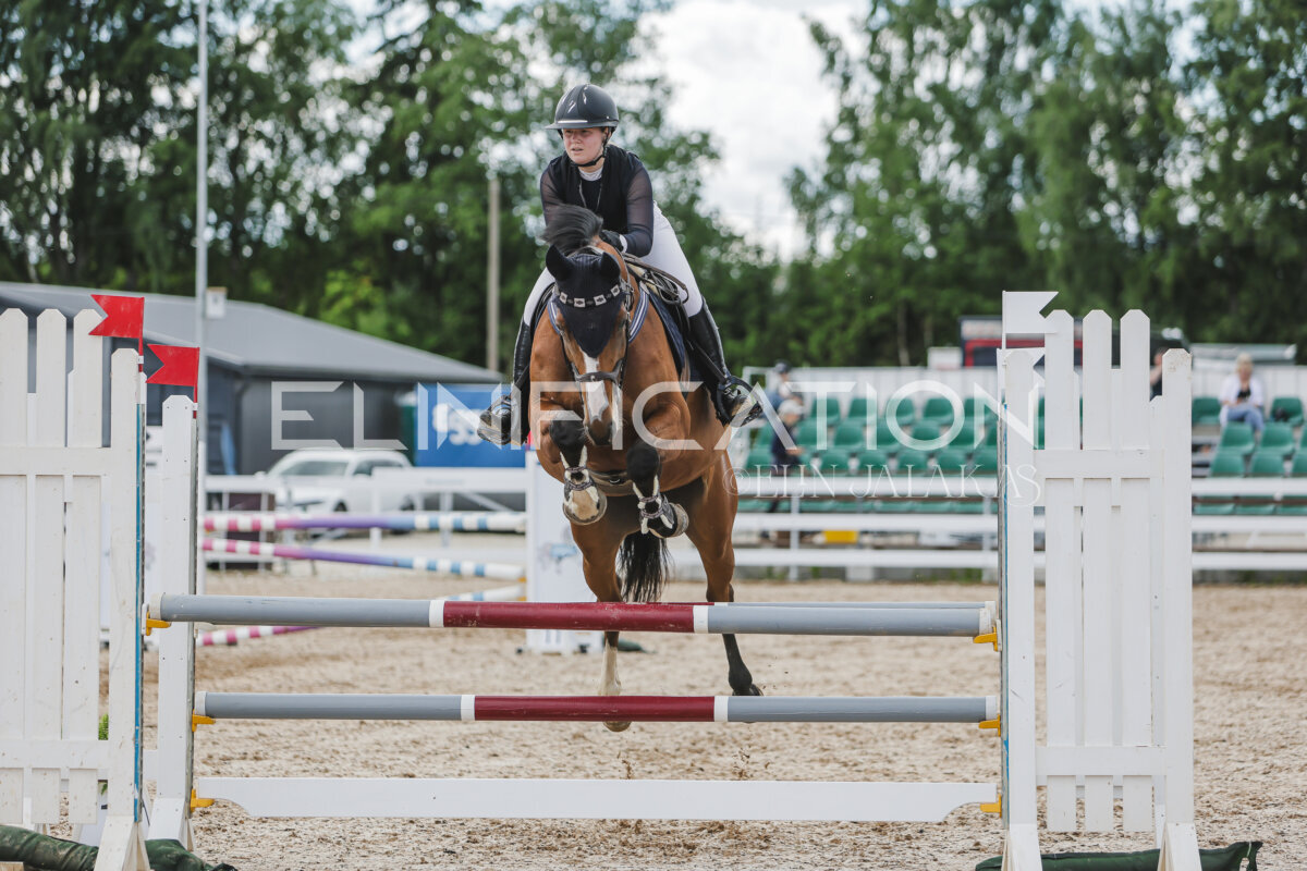 Gramina_Jaanipaev_2026_110_304