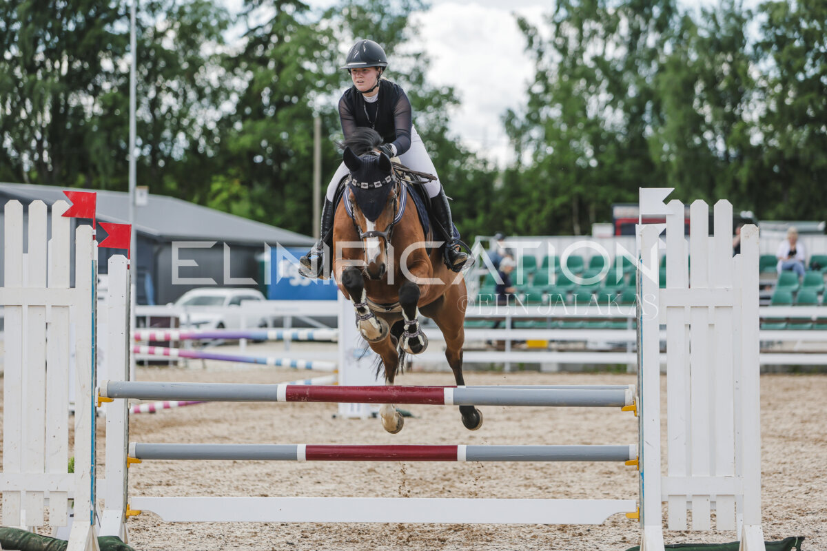 Gramina_Jaanipaev_2026_110_305
