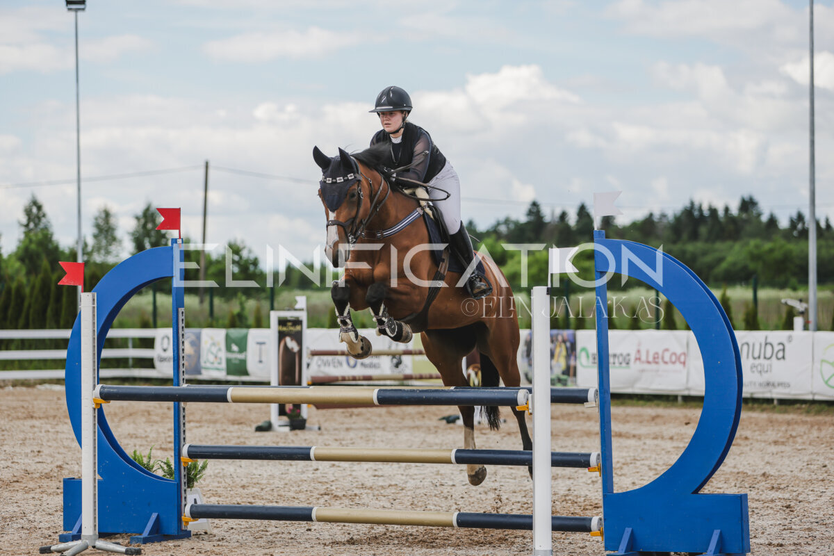 Gramina_Jaanipaev_2026_110_307