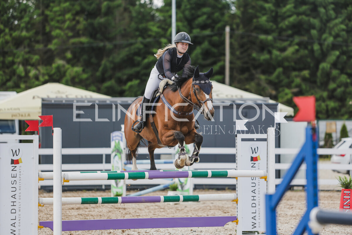 Gramina_Jaanipaev_2026_110_318