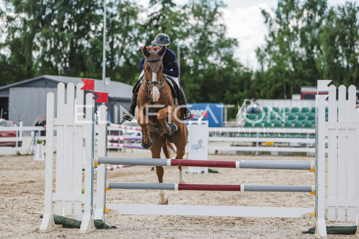 Gramina_Jaanipaev_2026_110_324