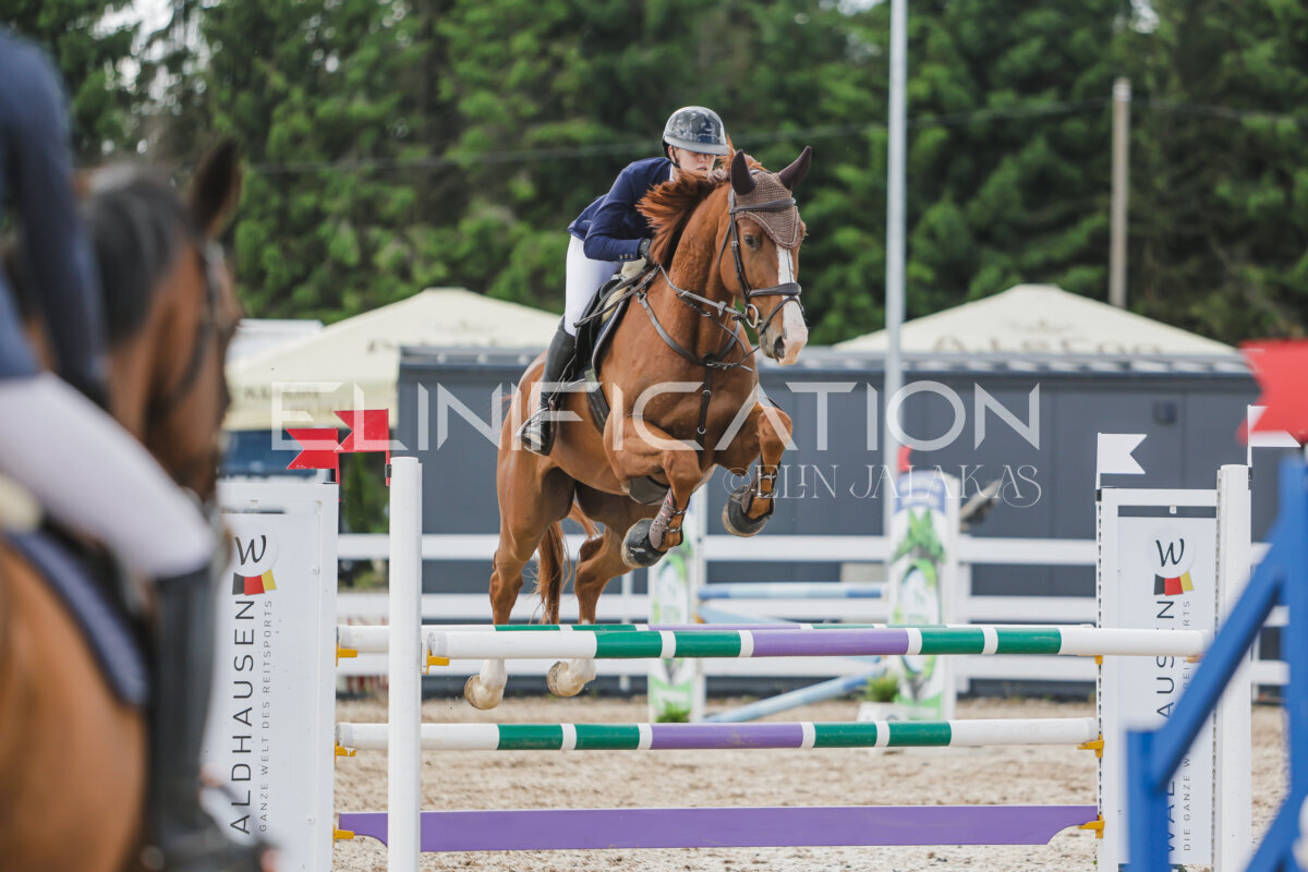 Gramina_Jaanipaev_2026_110_333
