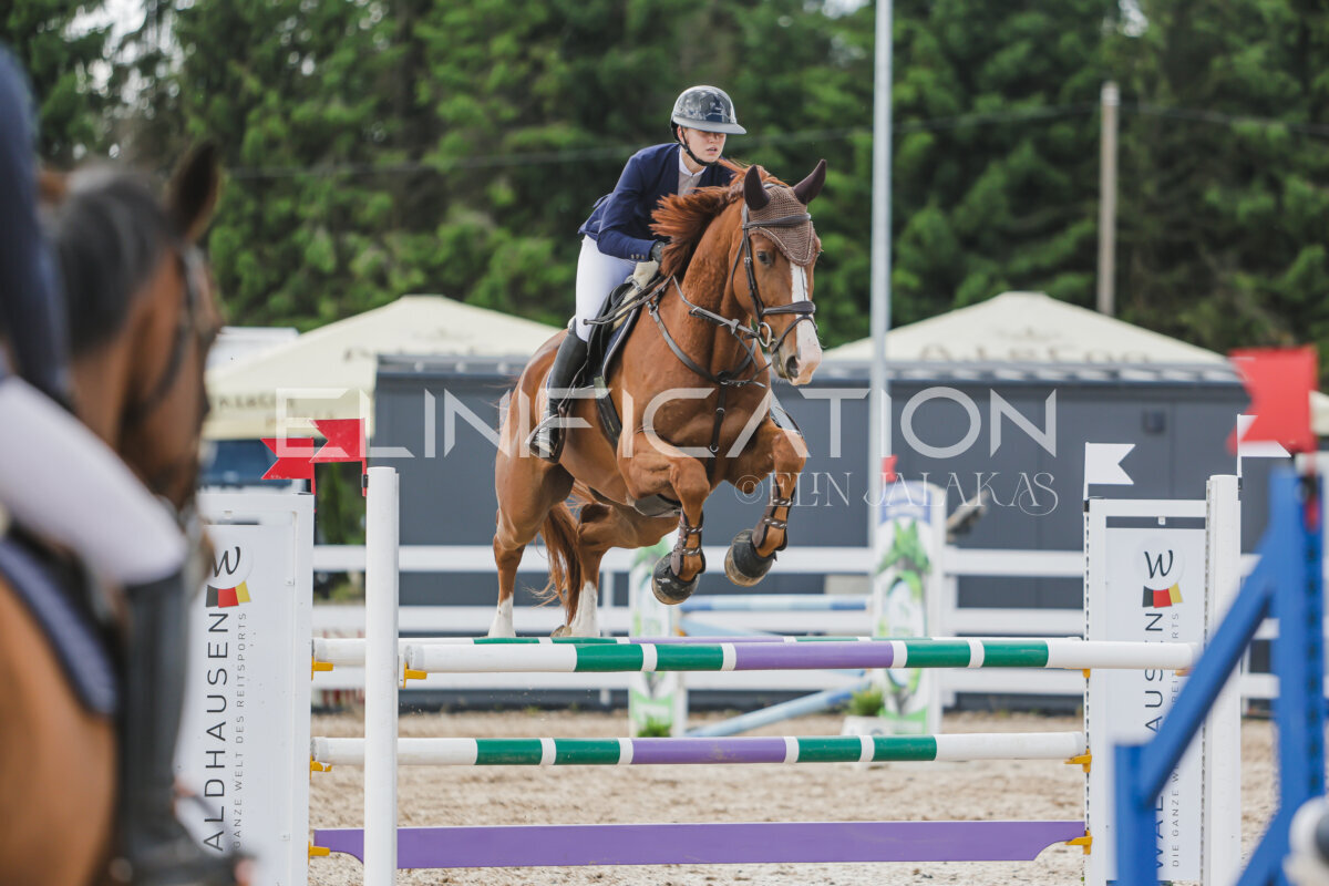 Gramina_Jaanipaev_2026_110_334