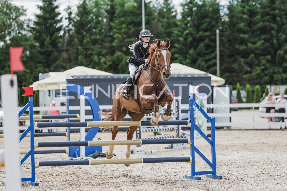 Gramina_Jaanipaev_2026_120_026
