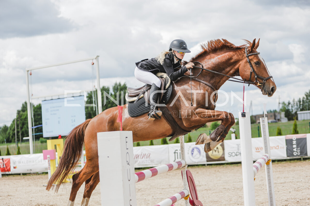 Gramina_Jaanipaev_2026_120_030
