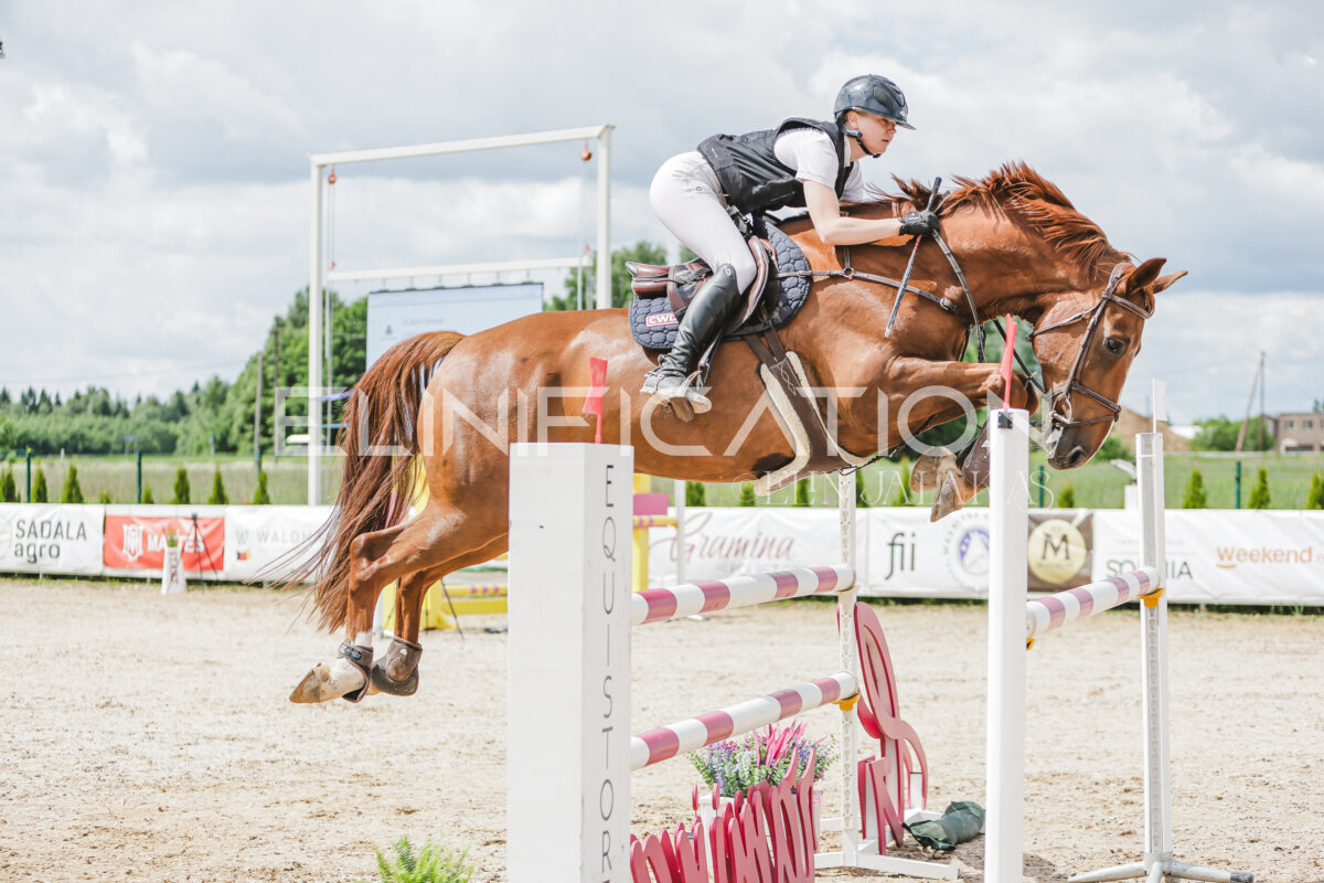 Gramina_Jaanipaev_2026_120_048