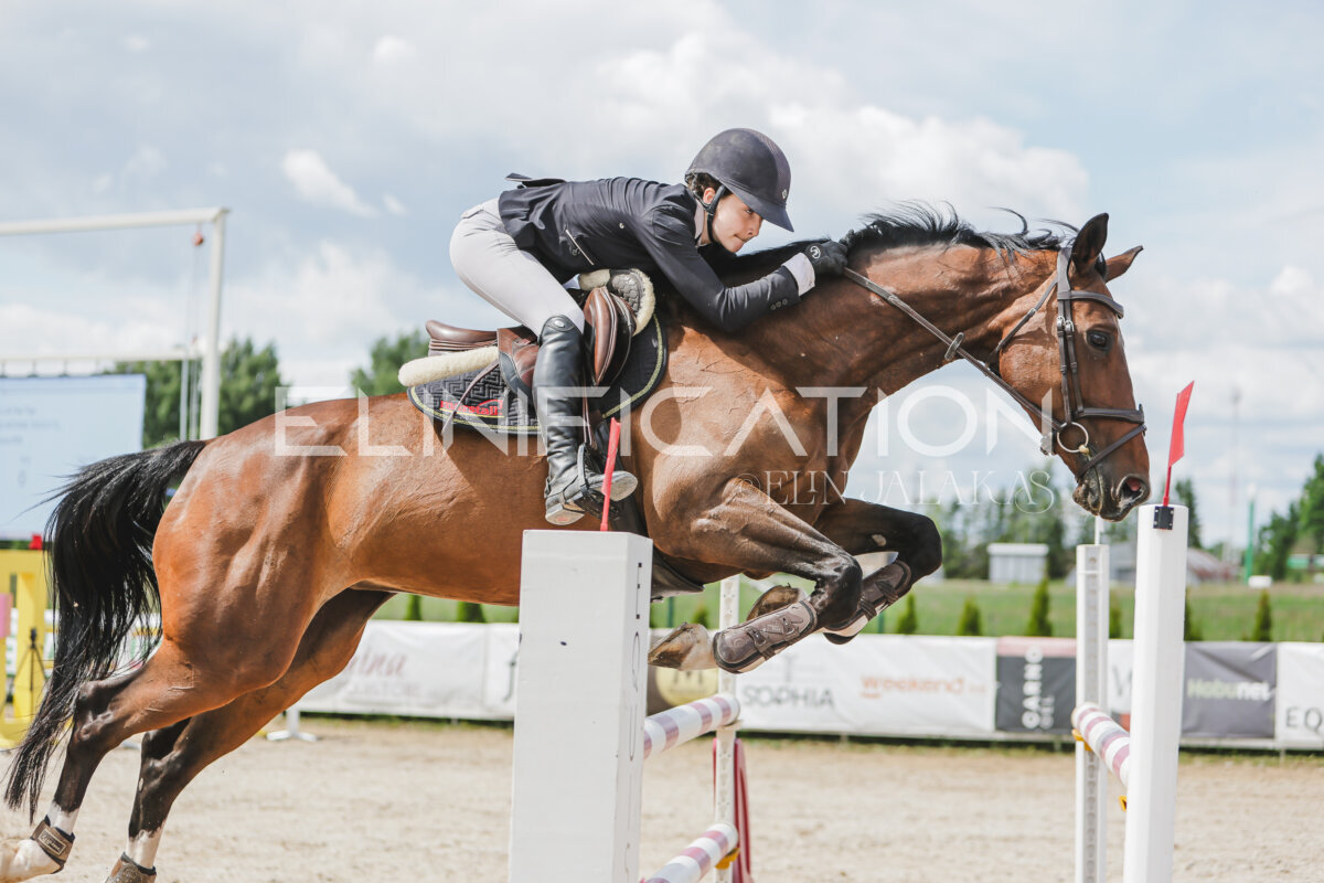 Gramina_Jaanipaev_2026_120_173