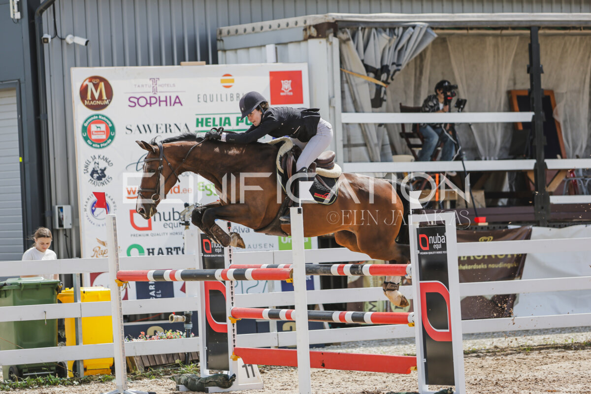 Gramina_Jaanipaev_2026_120_180