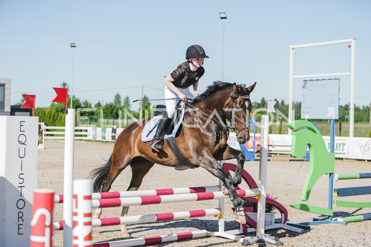 Gramina_Jaanipaev_2026_hc80-90_019
