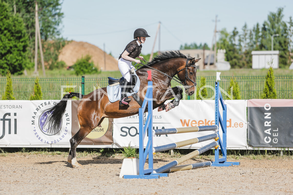 Gramina_Jaanipaev_2026_hc80-90_026