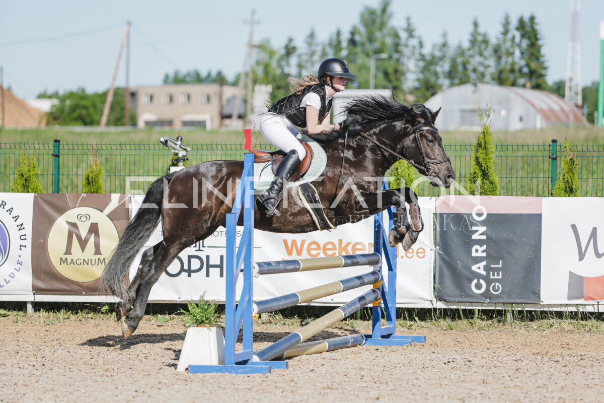Gramina_Jaanipaev_2026_hc80-90_046