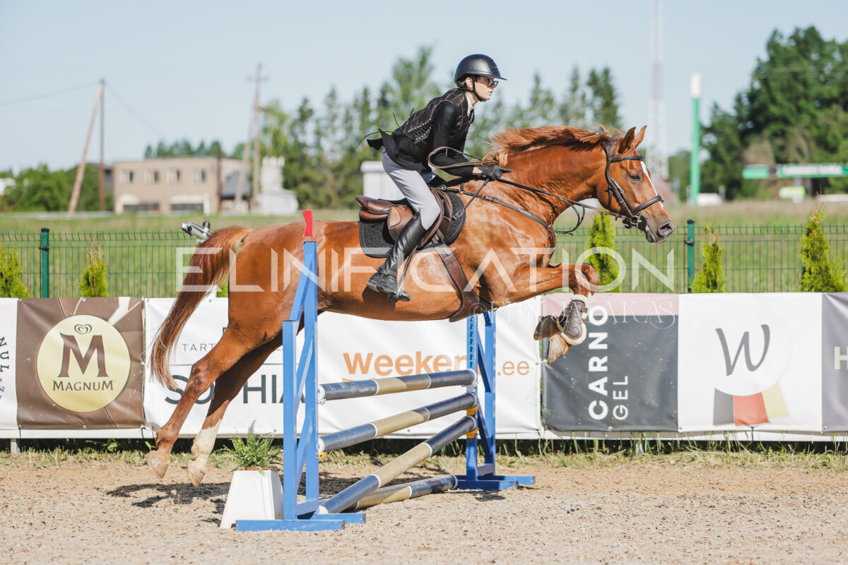 Gramina_Jaanipaev_2026_hc80-90_065
