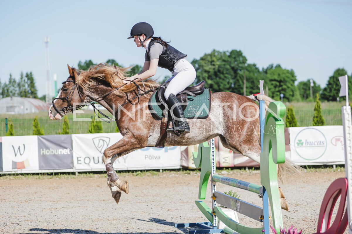 Gramina_Jaanipaev_2026_hc80-90_077