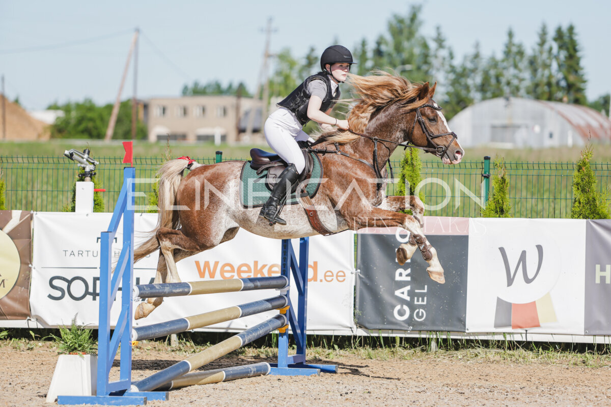 Gramina_Jaanipaev_2026_hc80-90_083