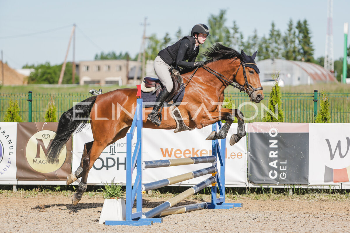 Gramina_Jaanipaev_2026_hc80-90_098