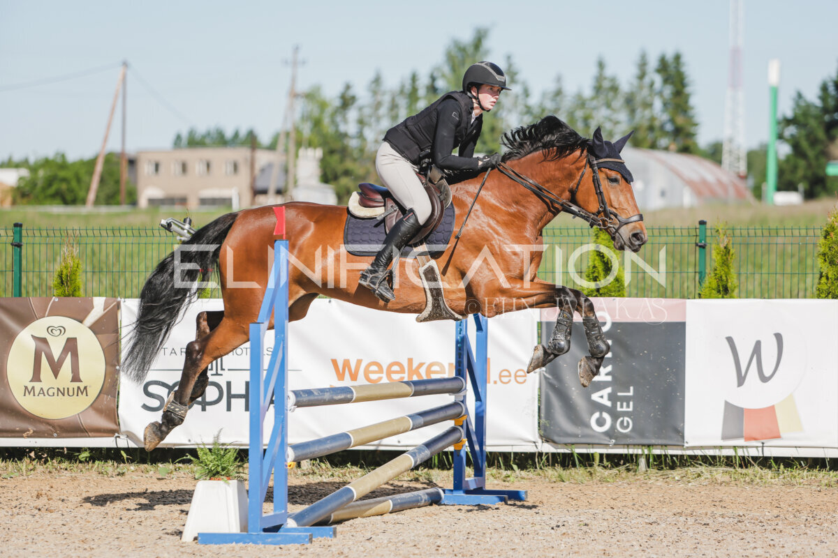 Gramina_Jaanipaev_2026_hc80-90_099