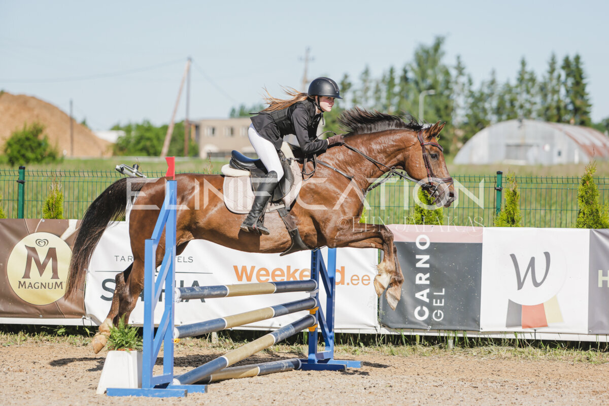 Gramina_Jaanipaev_2026_hc80-90_128