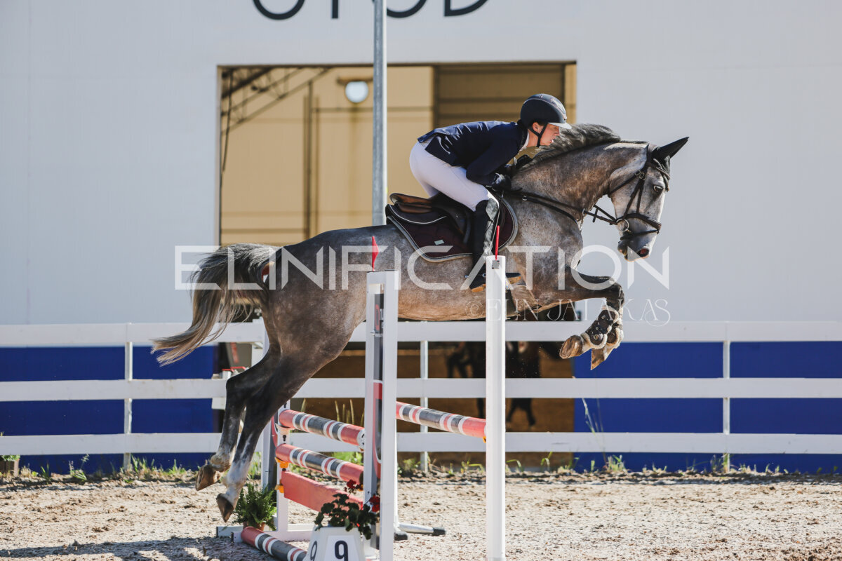 Gramina_Jaanipaev_2026_hc80-90_150