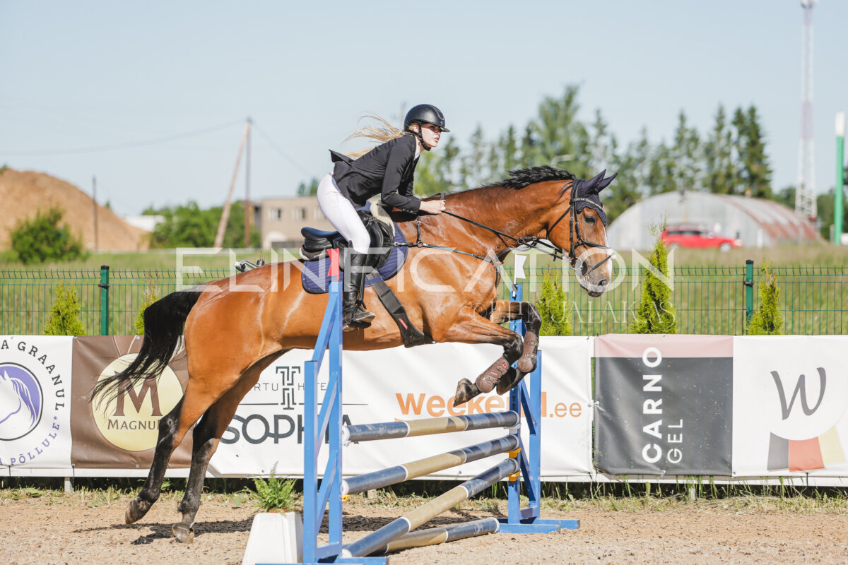Gramina_Jaanipaev_2026_hc80-90_162