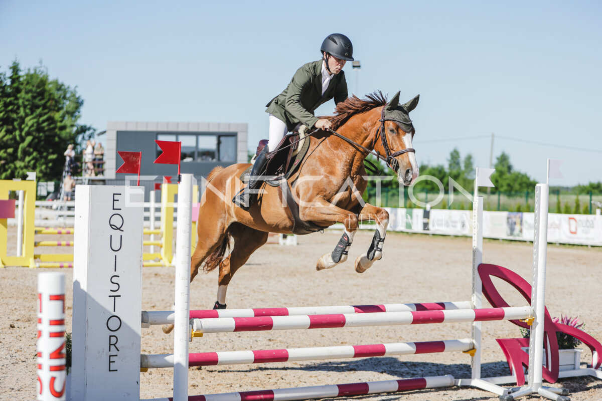 Gramina_Jaanipaev_2026_hc80-90_167