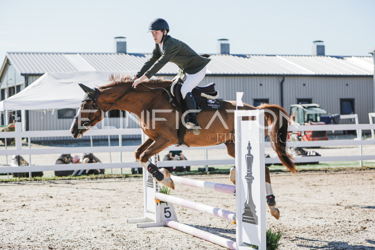 Gramina_Jaanipaev_2026_hc80-90_175